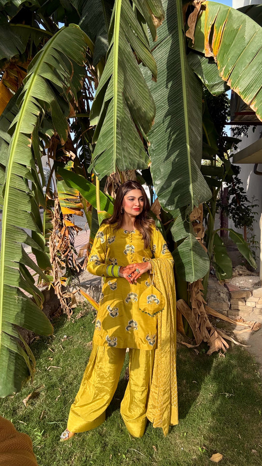 Olive Farshi Shalwar